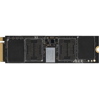 SSD Digma Meta P21 1TB DGSM4001TP21T