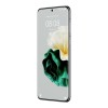 Смартфон Huawei P60 LNA-LX9 8GB/256GB (зеленый)