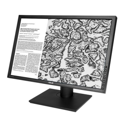 Монитор ASUS HA2402 ASUS 24.1" HA2402 IPS LED, 1920x1200, 300cd/m, 178°/178°, D-Sub, DVI, HDMI, DisplayPort, USB-Hub, HAS, Tilt, Swivel, Pivot, стандарт DICOM Part 14, VESA, Black