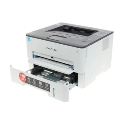 Принтер PANTUM P3010D (P3010D)