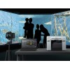 Принтер EPSON Surelab SL-D800, Минифотолаборатория, Тиражная печать фотографий (C11CH75301CX)