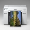 Принтер EPSON Surelab SL-D800, Минифотолаборатория, Тиражная печать фотографий (C11CH75301CX)