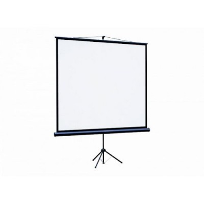 Проекционный экран 115" Lumien Eco View (LEV-100112)