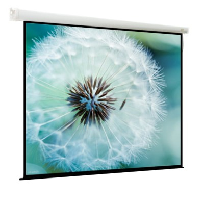 Проекционный экран 134" ViewScreen Breston (EBR-16906)