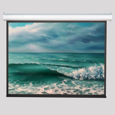 Проекционный экран 300" ViewScreen Antis (EAN-4305)