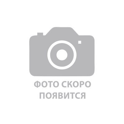 Ricoh D1773035 Блок девелопера черный для Ricoh MPC2x03/2011 (120000стр,не требуется для запуска)