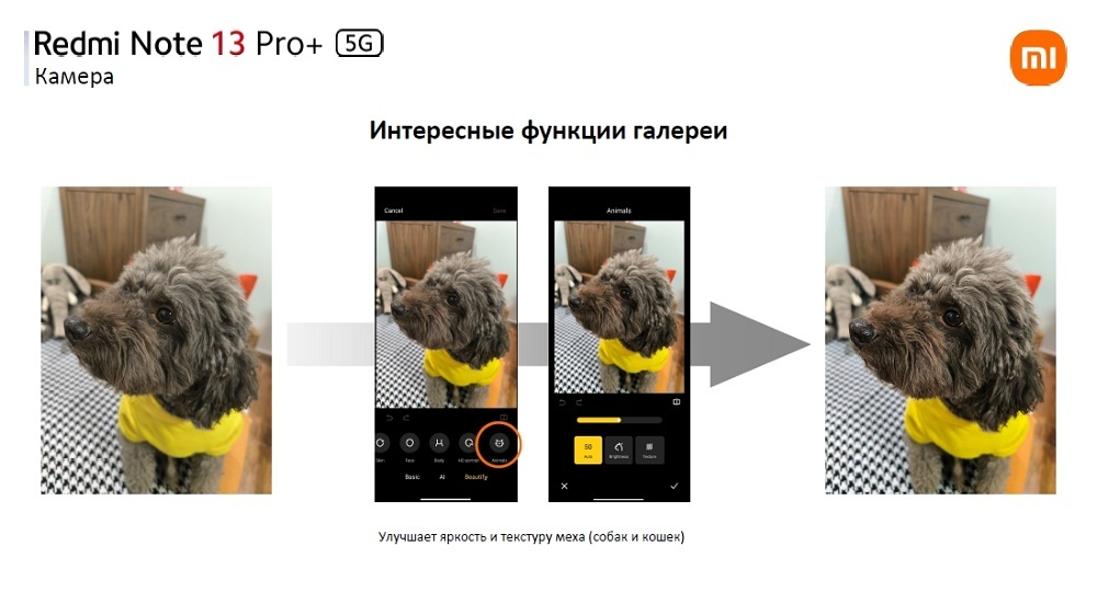 Интересные функции галереи