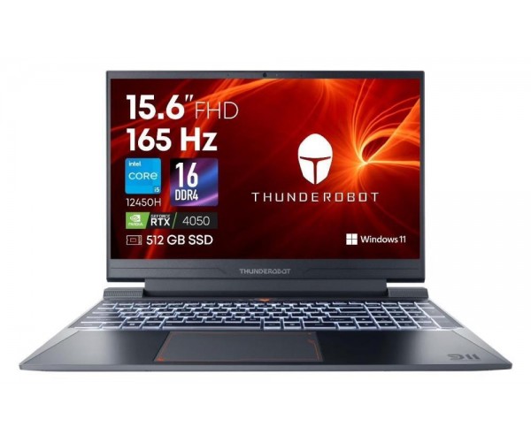 Игровой ноутбук THUNDEROBOT 911 X Wild Hunter G2L (JT009500ERU)