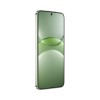 Смартфон Huawei nova 13 12GB/256GB (BLK-LX9) Loden Green