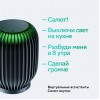 Умная колонка Sber Boom SBDV-00090, 40Вт, черный (sbdv-00090a)