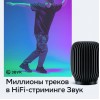Умная колонка Sber Boom SBDV-00090, 40Вт, черный (sbdv-00090a)