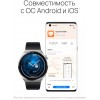 Смарт-часы HUAWEI Watch GT 3 Pro Odin-B19V серый (55028473)