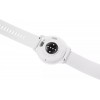 Смарт-часы GARMIN Venu 3 серый/серебристый (010-02784-00)