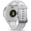 Смарт-часы GARMIN Forerunner 165 серый (010-02863-21)