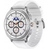 Смарт-часы SAMSUNG Galaxy Watch 8 Classic LTE Watch 8 Classic серебристый (sm-l505fzwacau) Смарт-часы SAMSUNG Galaxy Watch 8 Classic LTE Watch 8 Classic серебристый (sm-l505fzwacau)