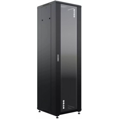 Шкаф коммутационный NTSS Премиум NTSS-R42U6060GS-1BL 42U черный