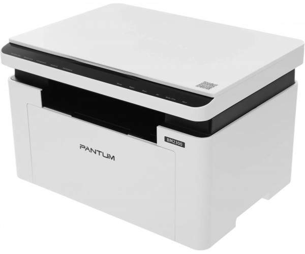 МФУ Pantum BM2300 белый/черный