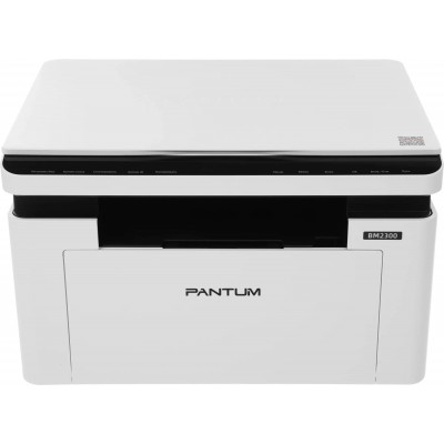 МФУ Pantum BM2300 белый/черный