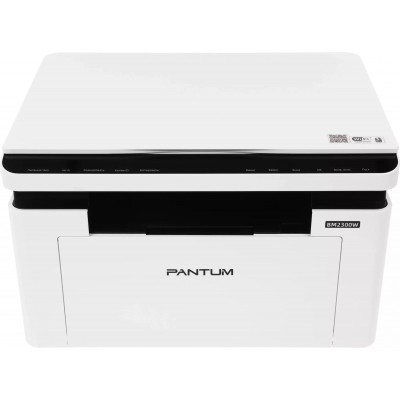 МФУ Pantum BM2300W белый/черный