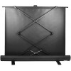 Экран рулонный Cactus FloorExpert CS-PSFLE-160X120