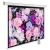 Экран рулонный Cactus SIlverMotoExpert CS-PSSME-240X150-WT