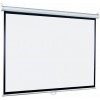 Экран рулонный Lumien Eco Picture LEP-100111 Экран рулонный Lumien Eco Picture LEP-100111