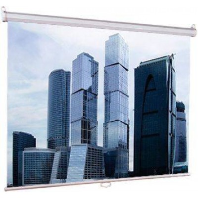 Экран рулонный Lumien Eco Picture LEP-100115