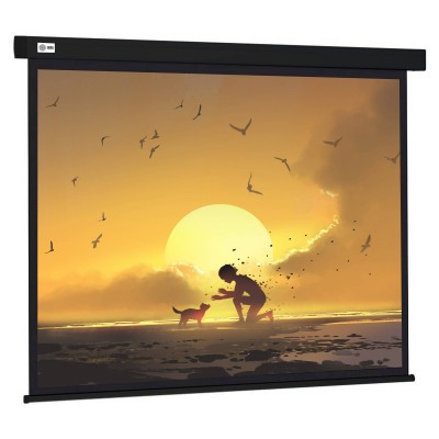Экран рулонный Cactus Wallscreen CS-PSW-150X150-BK