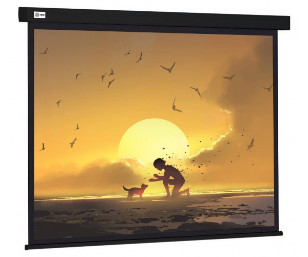 Экран рулонный Cactus Wallscreen CS-PSW-150X150-BK