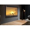 Экран рулонный Cactus Wallscreen CS-PSW-150X150-BK