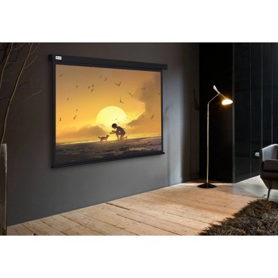 Экран рулонный Cactus Wallscreen CS-PSW-150X150-BK