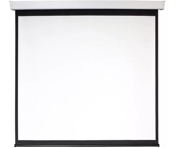 Экран рулонный Digis Electra-F DSEF-16905