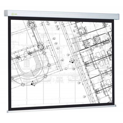 Экран рулонный Cactus Wallscreen CS-PSW-124x221