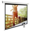 Экран рулонный Cactus MotoExpert CS-PSME-280x175-WT