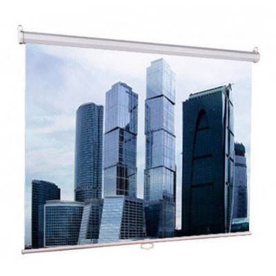 Экран рулонный Lumien Eco Picture LEP-100105