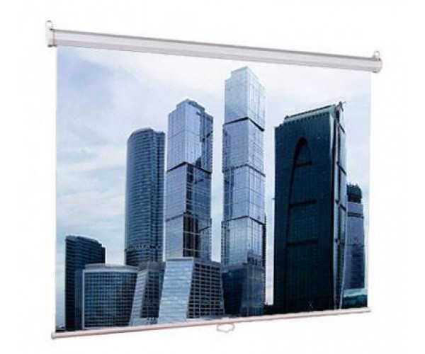 Экран рулонный Lumien Eco Picture LEP-100105
