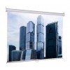 Экран рулонный Lumien Eco Picture LEP-100103 Экран рулонный Lumien Eco Picture LEP-100103