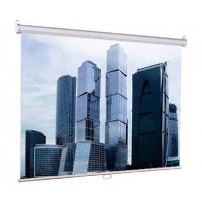 Экран рулонный Lumien Eco Picture LEP-100103