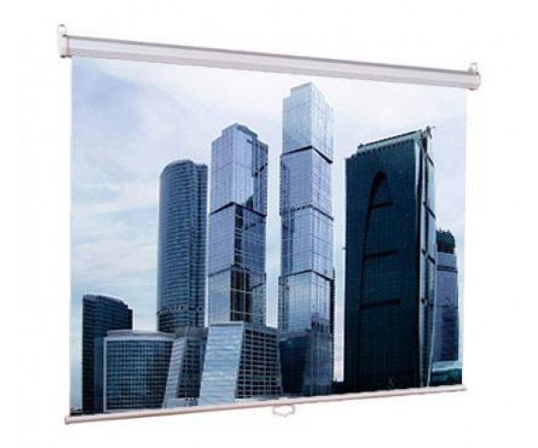 Экран рулонный Lumien Eco Picture LEP-100103