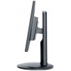Монитор AOC Professional I960PRDA 19