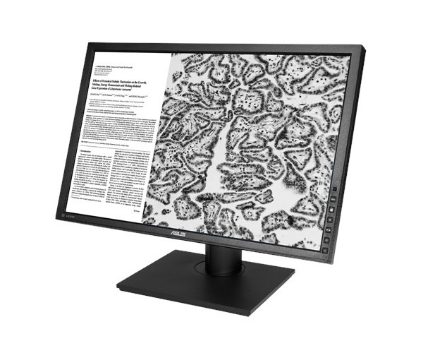 Монитор ASUS HA2402 ASUS 24.1