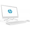Моноблок HP 205 G4 21.5