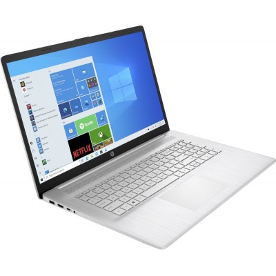 Ноутбук HP 17-cp0094ur Ryzen 5 5500U 16Gb SSD1Tb AMD Radeon 17.3" IPS FHD (1920x1080) Windows 10 Home silver WiFi BT Cam