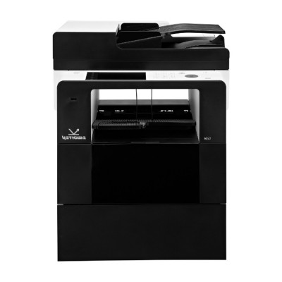 МФУ Катюша M247e (2GB)