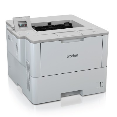 Принтер Brother (HLL6450DWR1)
