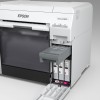 Принтер EPSON Surelab SL-D800, Минифотолаборатория, Тиражная печать фотографий (C11CH75301CX)