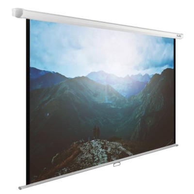 Проекционный экран CACTUS 135" WallExpert (CS-PSWE-240X240-WT)