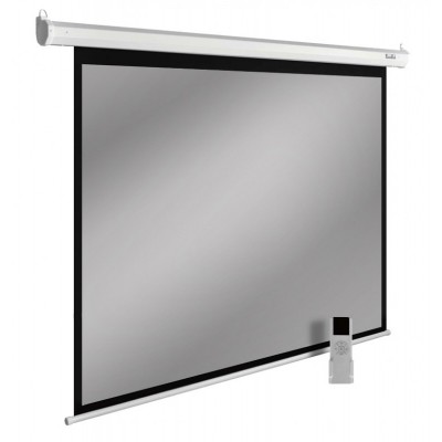 Проекционный экран CACTUS 141" SIlverMotoExpert (CS-PSSME-300X188-WT)
