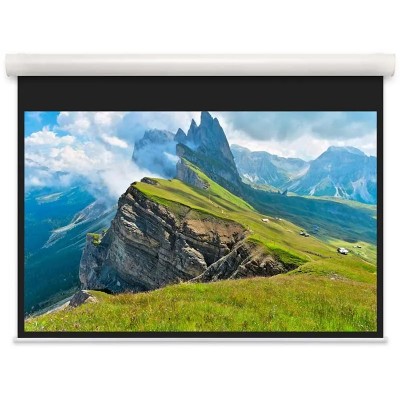 Проекционный экран 131" Projecta Elpro Concept (10102098)
