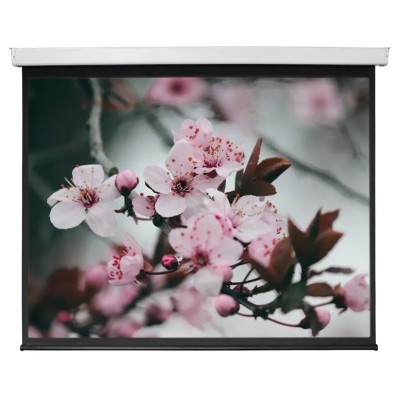 Проекционный экран 120" Digis Electra-F (DSEF-4304)